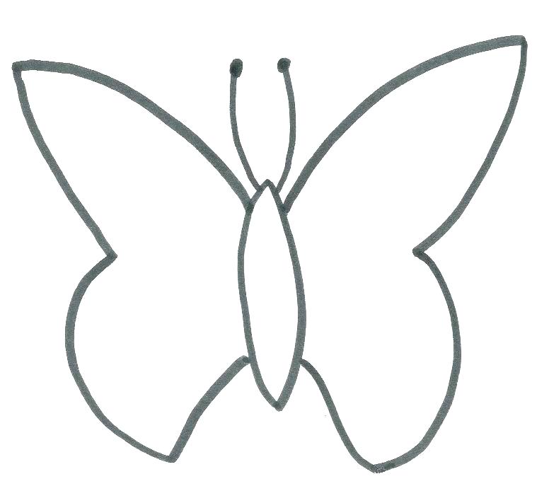 776x687 Outline Butterfly Vector Isolated Watercolor Outline Butterfly