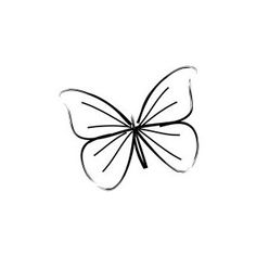236x236 Simple Butterfly Line Drawing Card Ideas Simple Butterfly