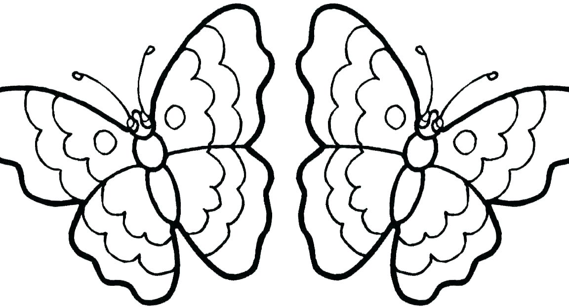 1152x623 Butterfly Coloring
