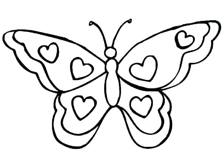 728x545 Small Butterfly Template