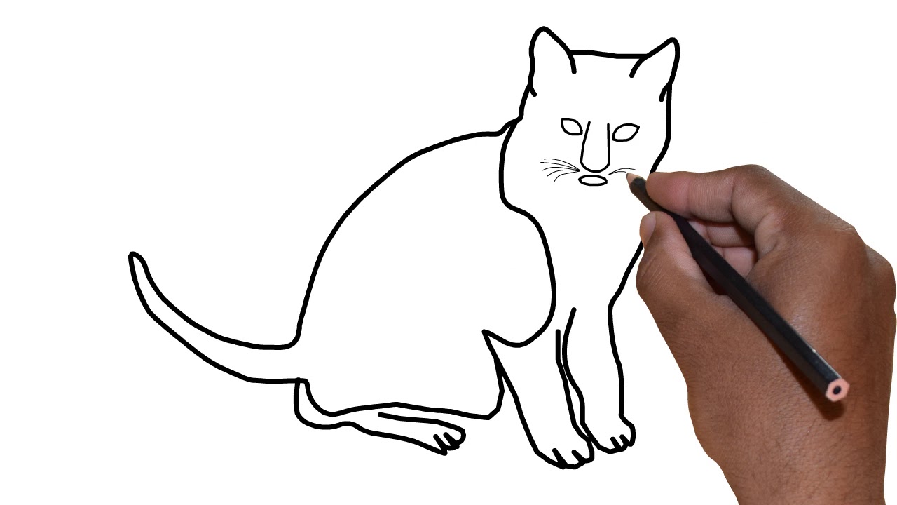 1280x720 How Draw A Cat Drawing Videos For Kids Learning Drunk Drawing