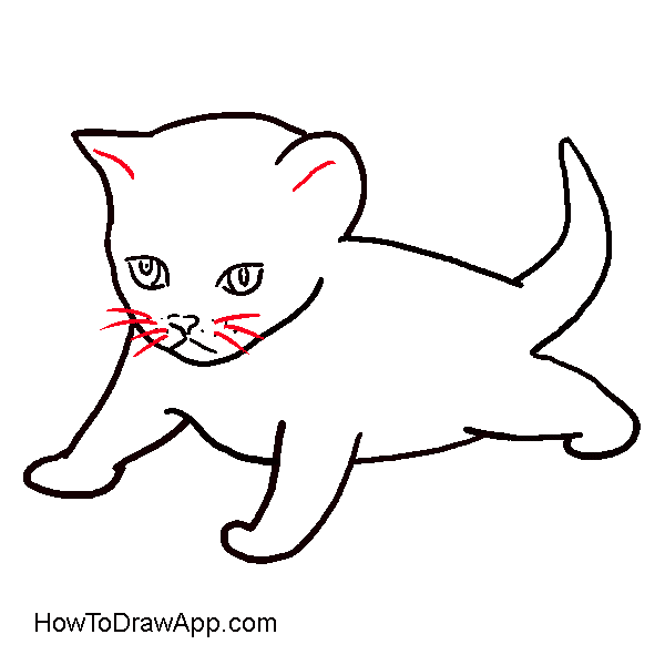 600x600 How To Draw A Kitten, Or Drawing Lesson For Kids And Their Parents