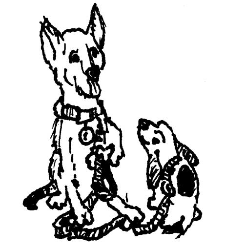 461x510 Small Dog Collar And Leash Set