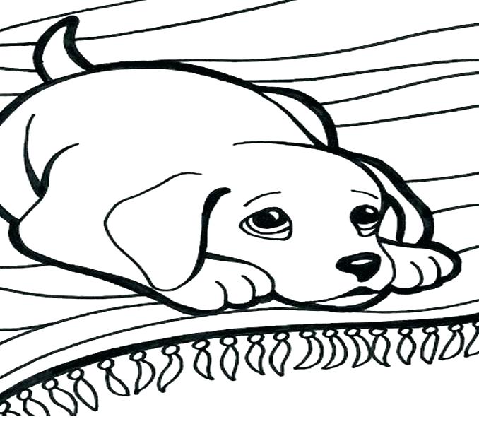 678x600 Small Dog Coloring Pages Cute Colouring Pages A Sweet Tiny Dog