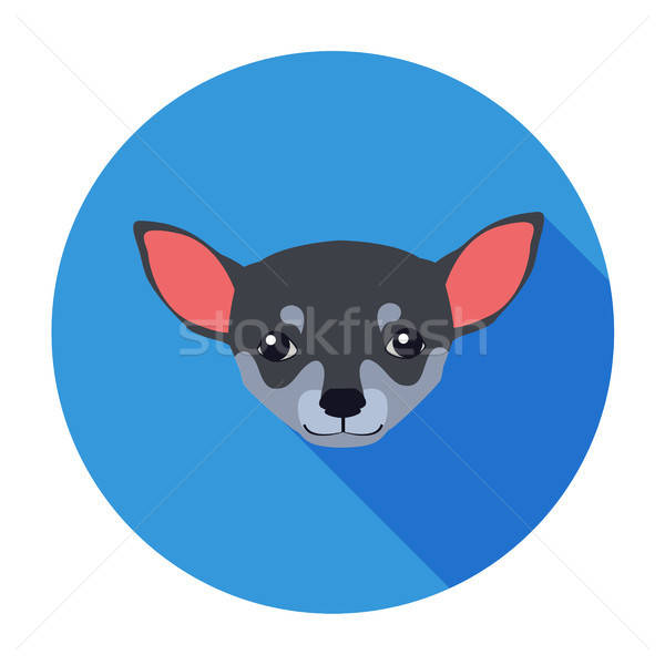 600x600 Small Muzzle Of Chihuahua Dog Cartoon Drawing Vector Illustration