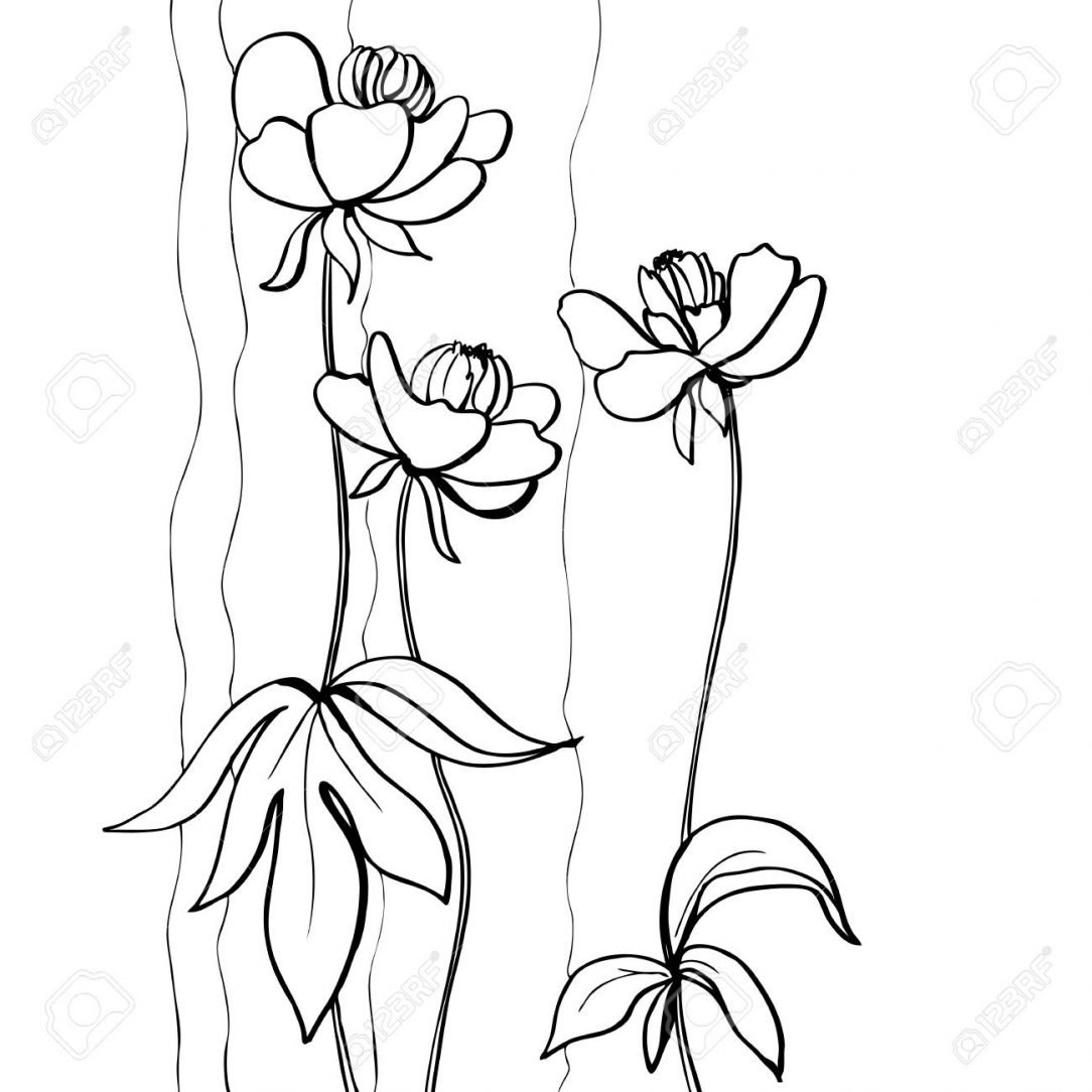 1084x1084 Flower Art Drawings Cute For Boyfriend Small And Names Easy Step