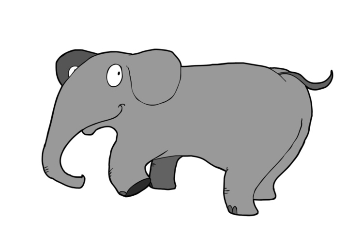 750x520 Image Elephant