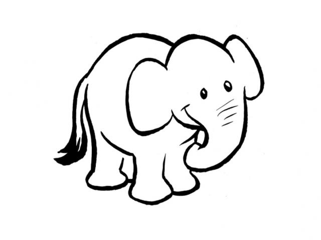 640x480 Small Clipart Elephant