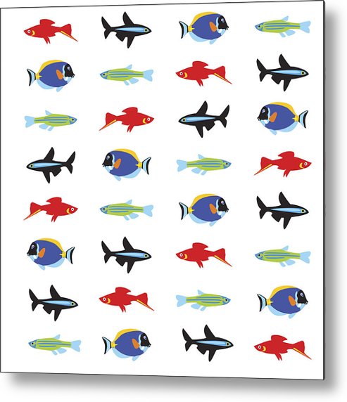 493x572 Small Fish Metal Print