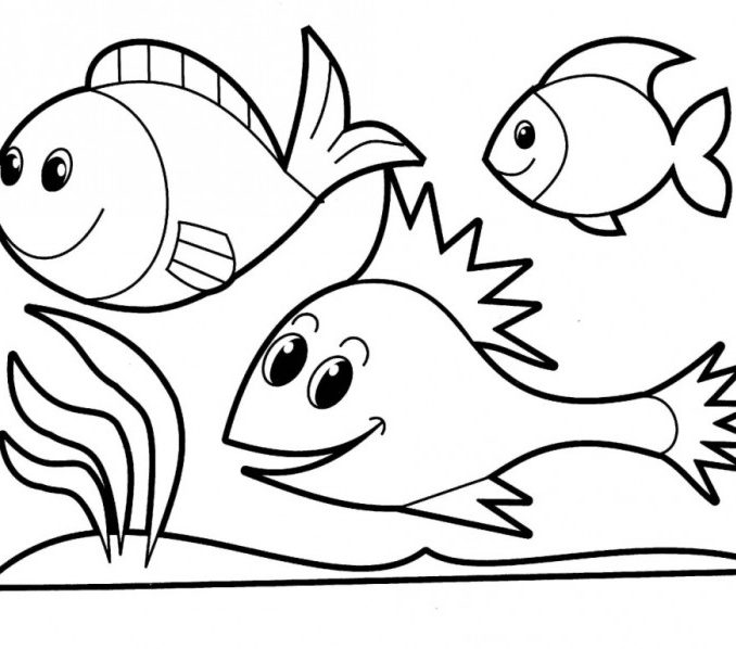 678x598 Coloring Fishes Small Fish Coloring Pages For Kids Title Down