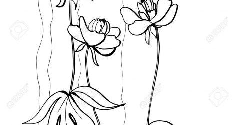 471x250 Flower Drawings Tumblr And Paintings Step