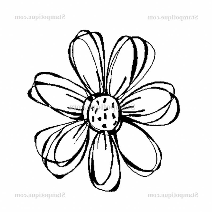 900x900 Small Flower Drawings Classy Idea