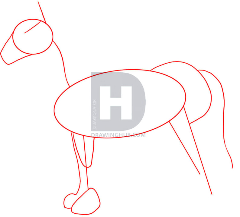 794x720 How To Draw A Horse, Step