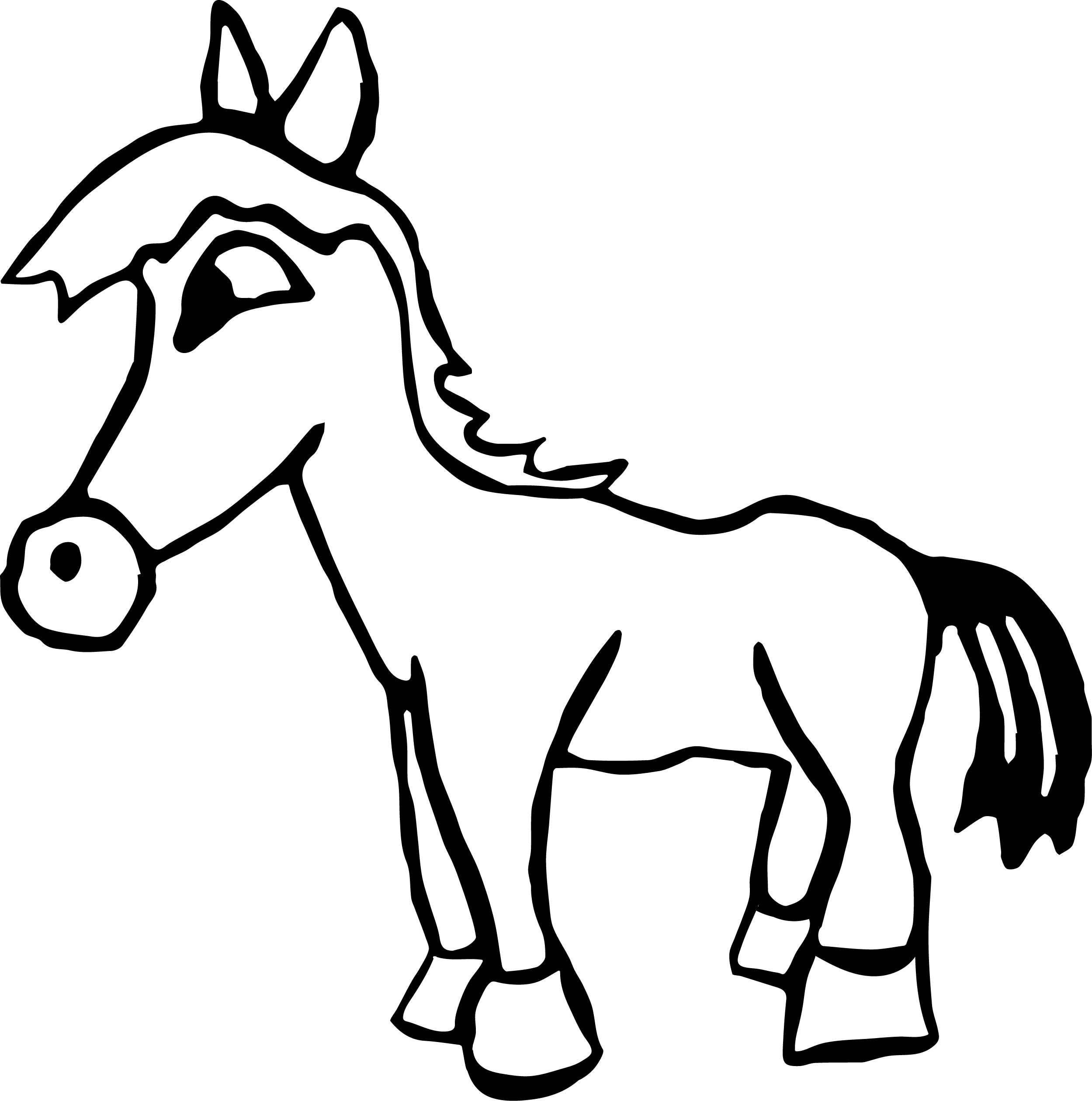 2499x2520 Small Arabian Horse Coloring