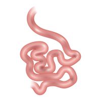 200x200 hand drawn handdrawn drawn sketch sketches drawing drawings