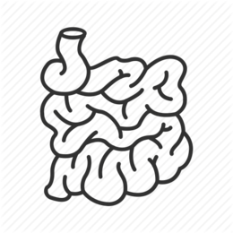 260x260 Orange, Text, Font, Transparent Png Image Clipart Free Download