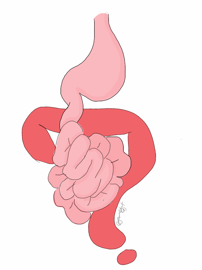 768x1024 Pediatric Surgery Zone What Is The Normal Length Of Small Bowel