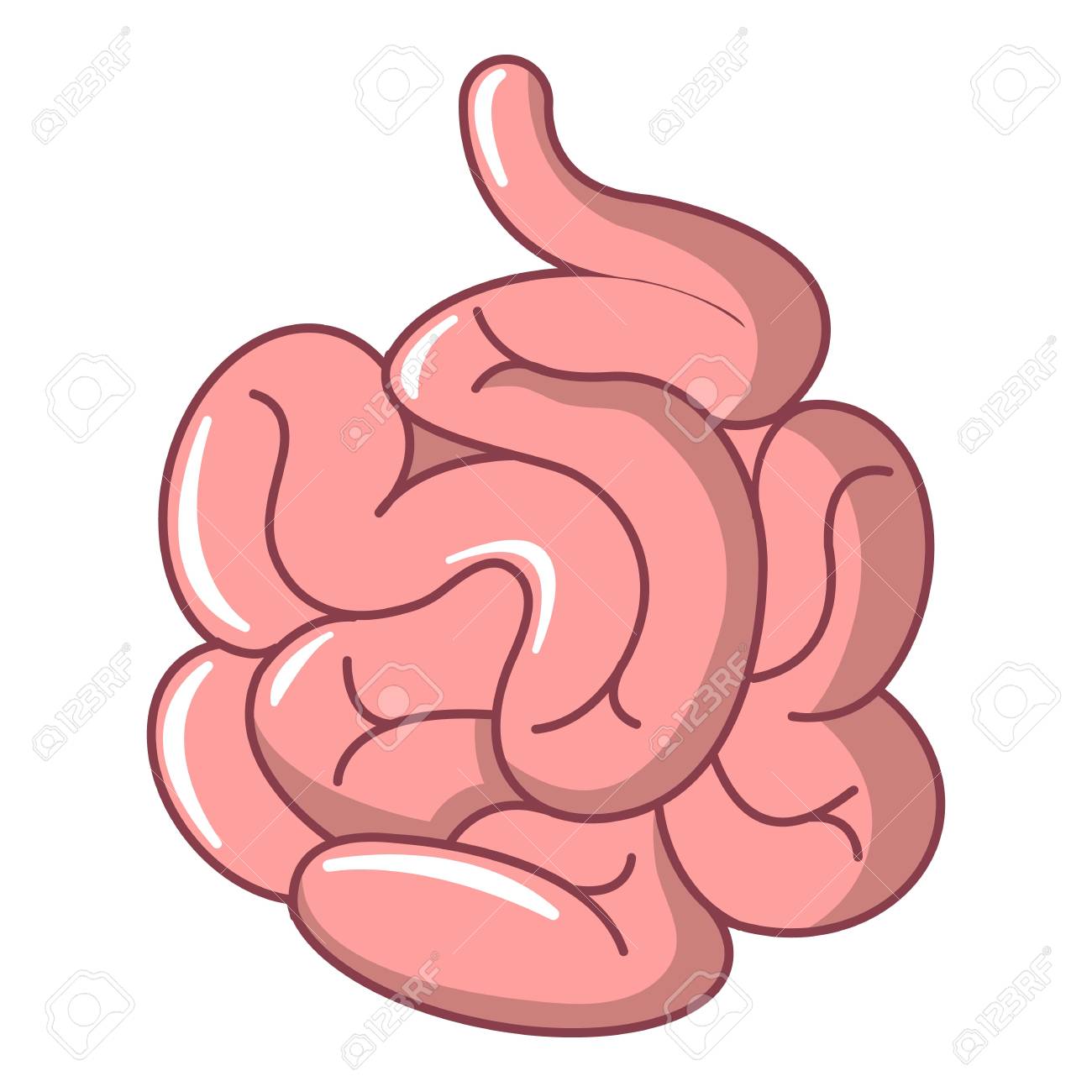 1300x1300 Small Intestine Cliparts Free Download Clip Art