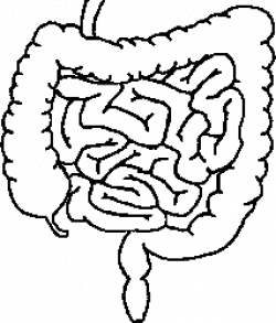 250x293 Town Drawing Small, Picture