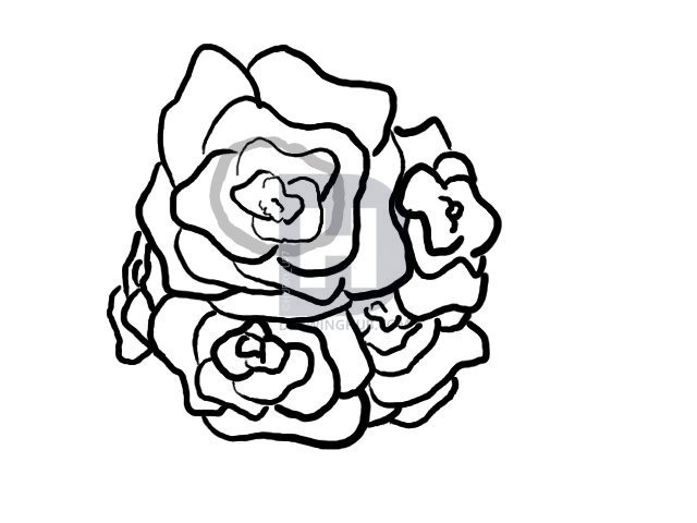 640x480 How To Draw A Basket Of Roses, Step