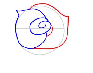 302x237 How To Draw How To Draw A Rose For Kids