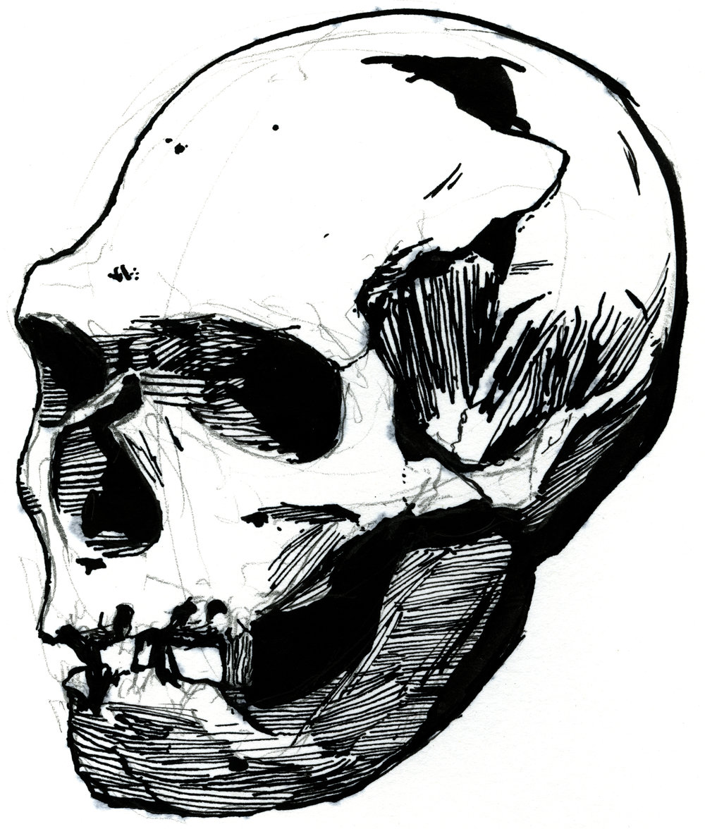 1000x1176 Drawings Sam Woodfin Art