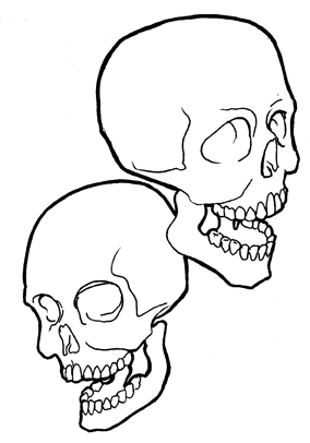 284x406 Dual Skulls Two Small Skull Sketches Joe