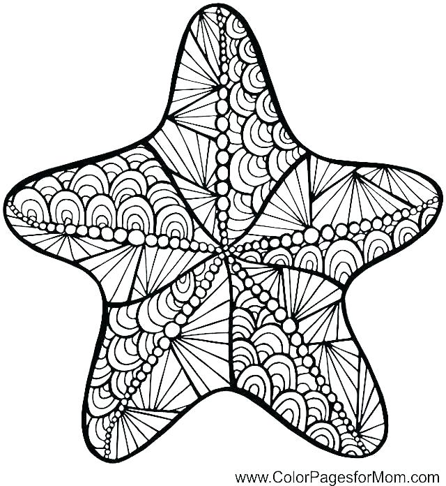 640x696 Starfish Coloring