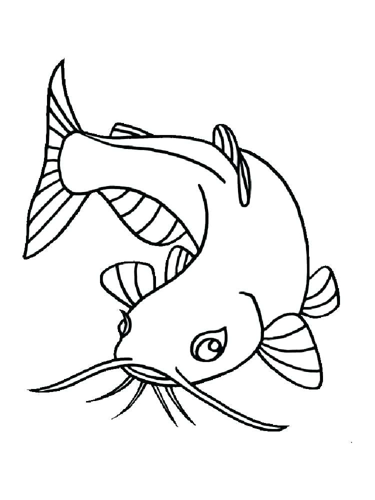 Smallmouth Bass Drawing