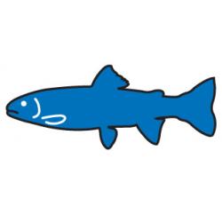 250x250 Black Bass Special Area Regulations Mdc Hunting And Fishing