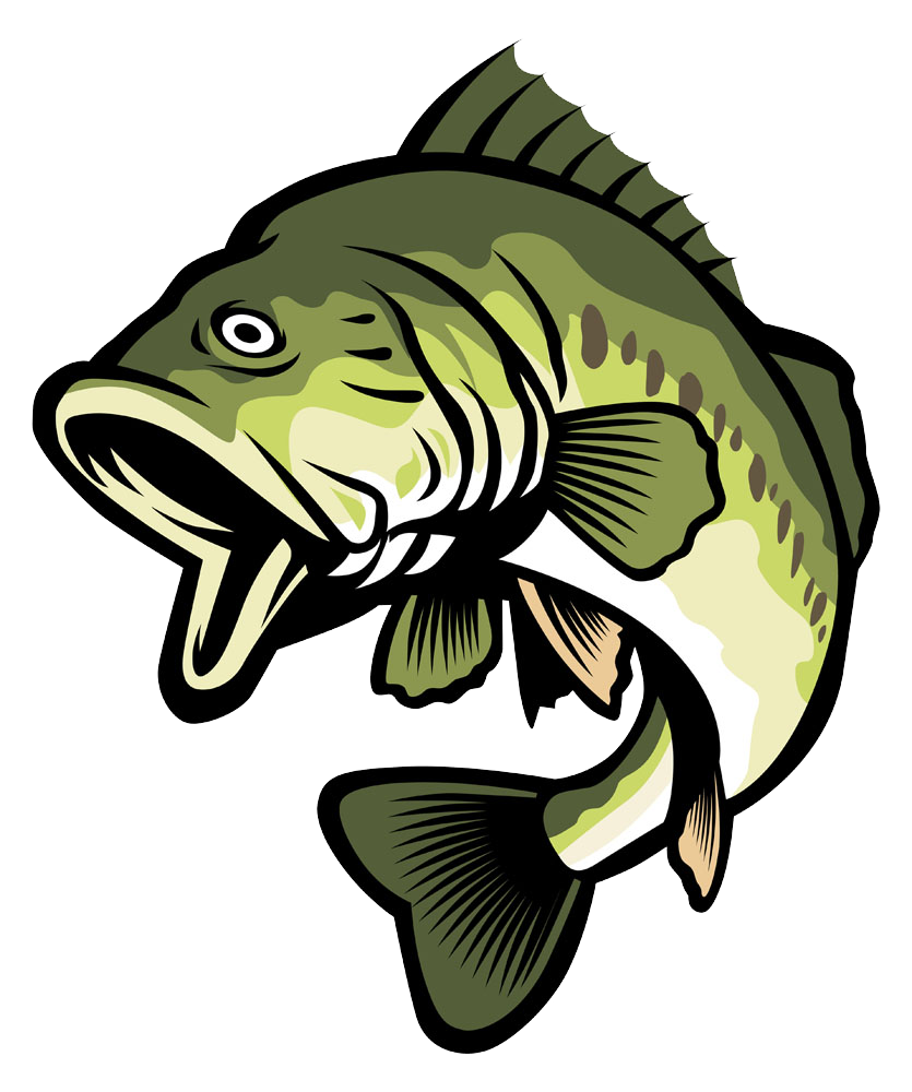 835x1000 Collection Of Free Bass Vector Largemouth Download On Ui Ex