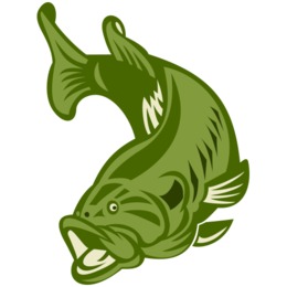 260x260 Drawing, Fishing, Art, Transparent Png Image Clipart Free Download