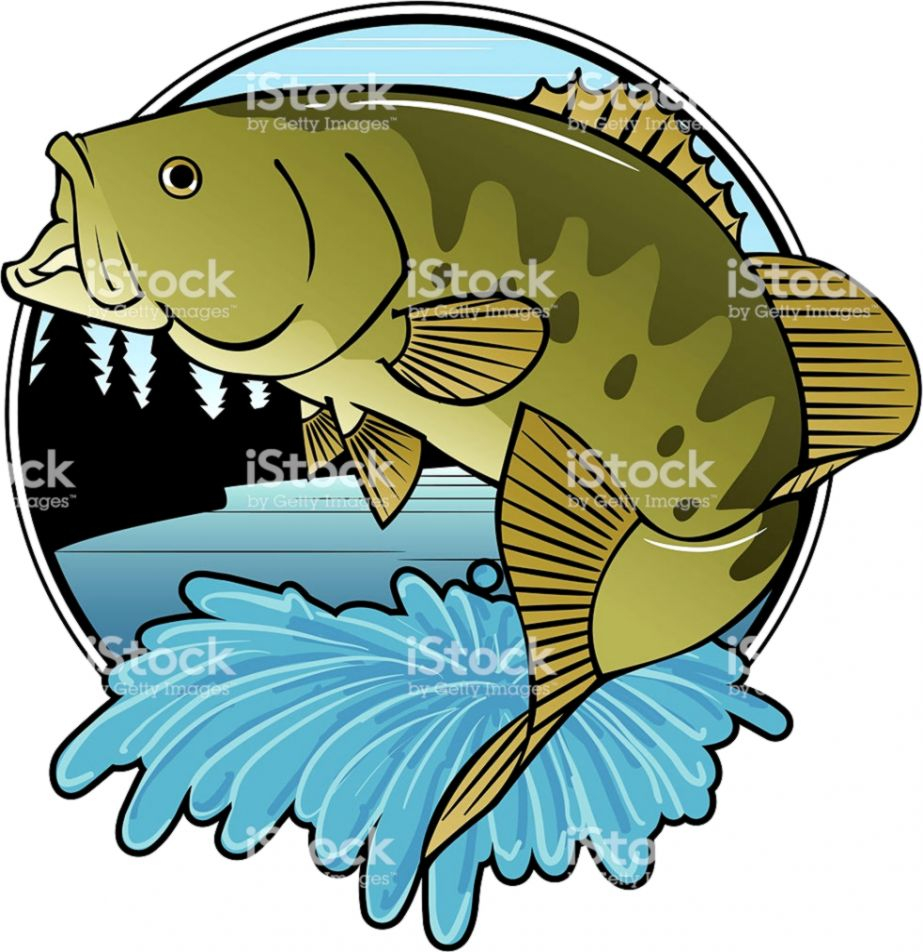 923x952 Great Smallmouth Bass Clip Art Bitonarnia For You Holiday Fond