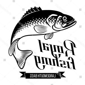 300x300 Smallmouth Bass Hand Drawn Outline Vintage Soidergi