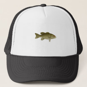 307x307 Smallmouth Bass Hats Caps Zazzle Ca