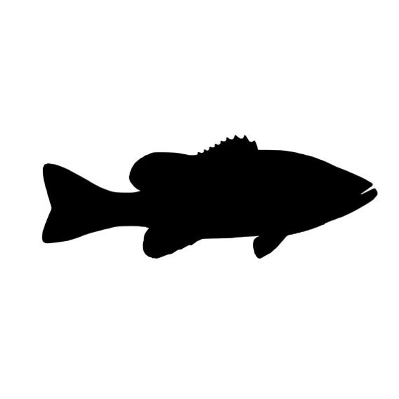 794x794 Smallmouth Bass Fishing Vinyl Diecut Decal Car Truck Window Etsy