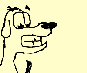 300x250 Smile Dog