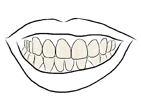 480x360 Collection Of Free Teeth Drawing Smile Download On Ui Ex