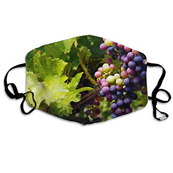 355x355 Missmorn Face Masks Anti Dust Mouth Cover Stylish