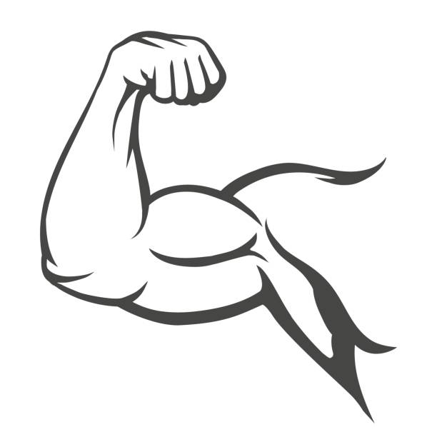 612x612 Muscle Clipart Up Arm