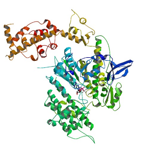 500x500 Rcsb Pdb