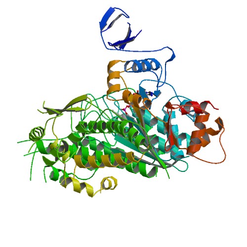 500x500 Rcsb Pdb