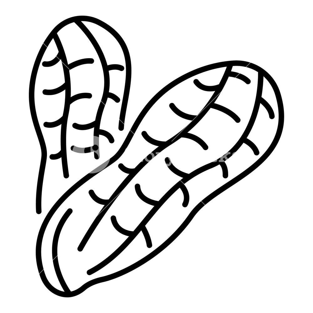 1000x1000 snack peanut icon outline snack peanut vector icon for web design