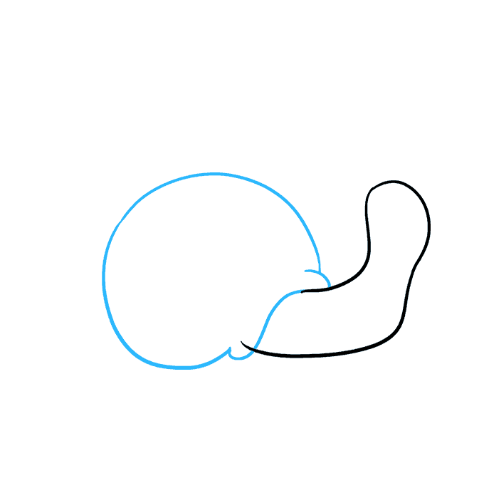 680x678 How To Draw A Snail