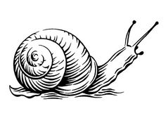 236x168 Best Snails Images In Snails, Snail Art, Art Drawings