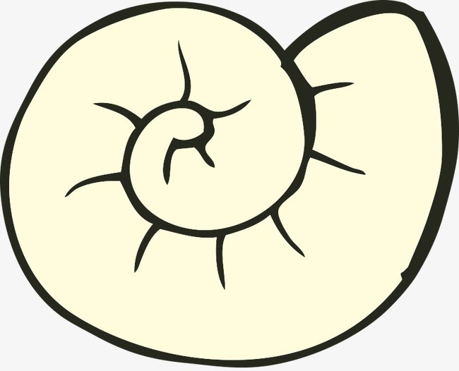 650x526 Snail Shell Clipart Clipart Portal