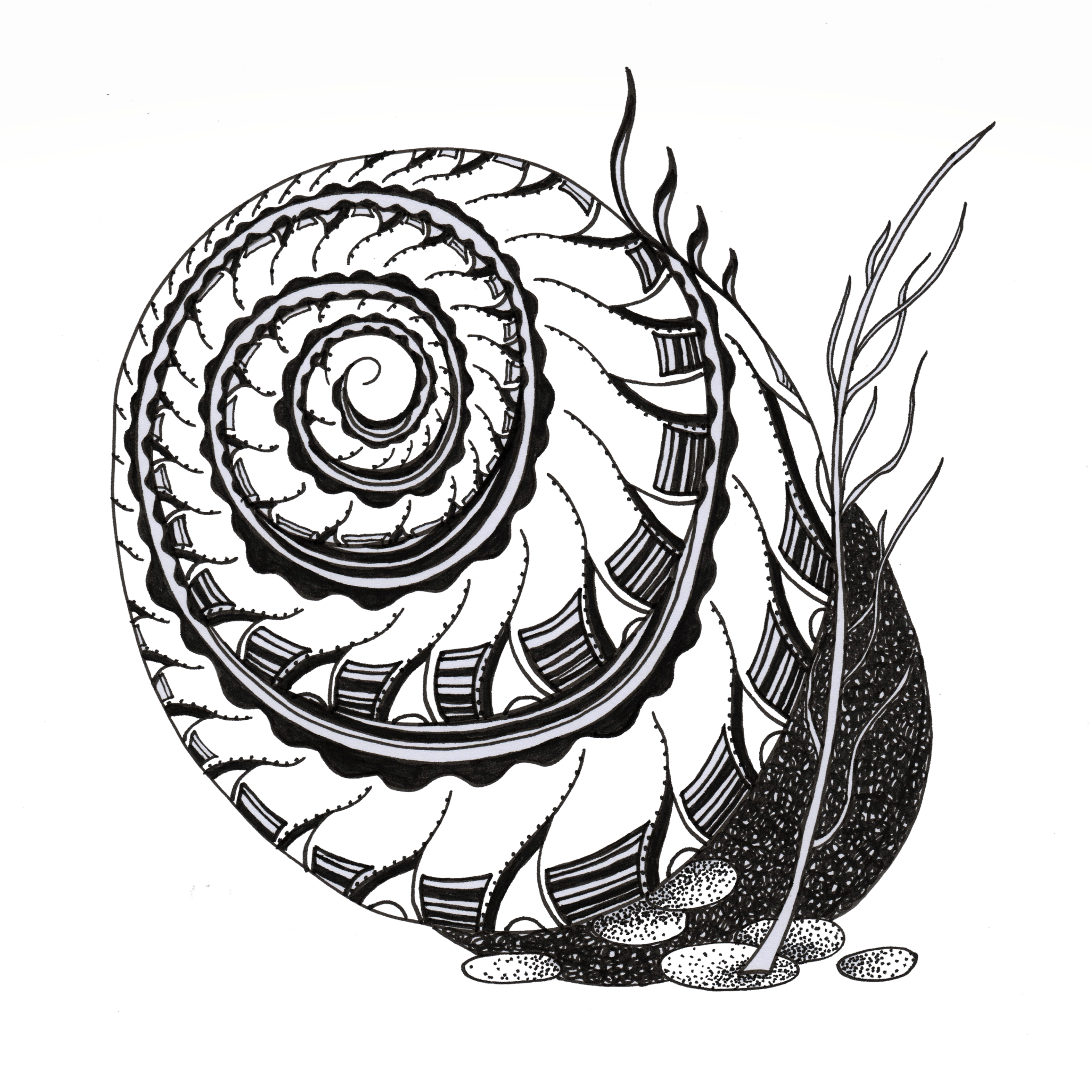 How to draw a Snail