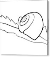 163x186 Vector Illustration Of Lying On Leaf Snail Shell Acrylic Print