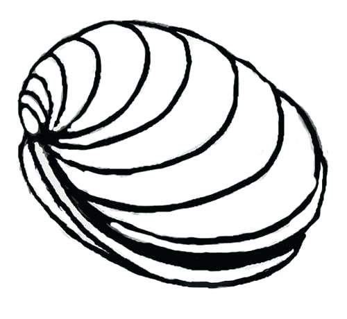 Collection of Clam clipart | Free download best Clam clipart on ...