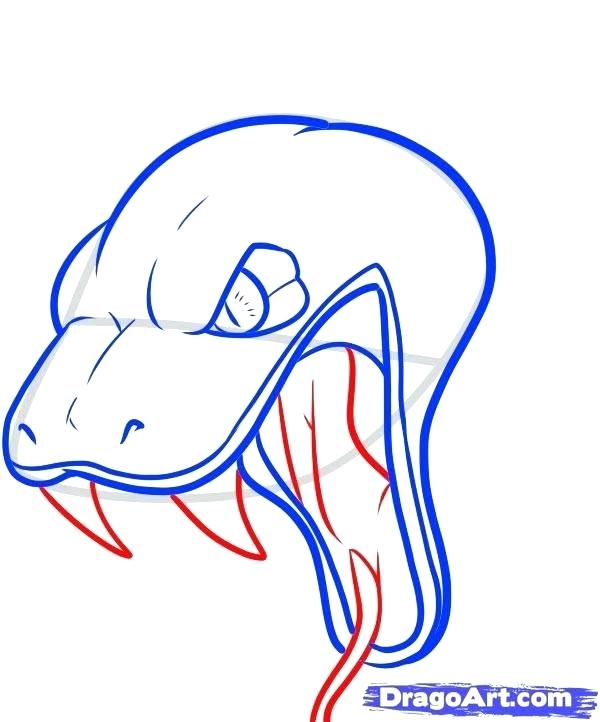 600x722 Draw Snake Head